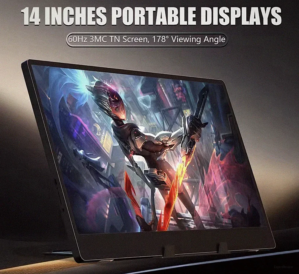 14 in 1080P Portable Display Monitor 60Hz TN USB-C HDMI Black 16:9