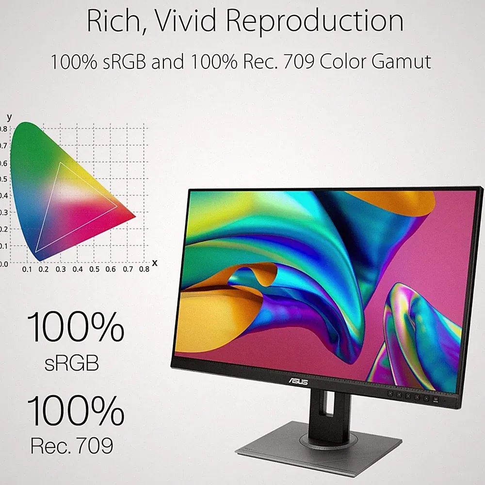 1440p Monitor with Extensive Connectivity