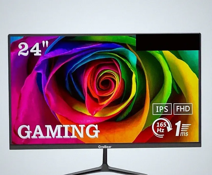 165 FPS Monitor Gaming