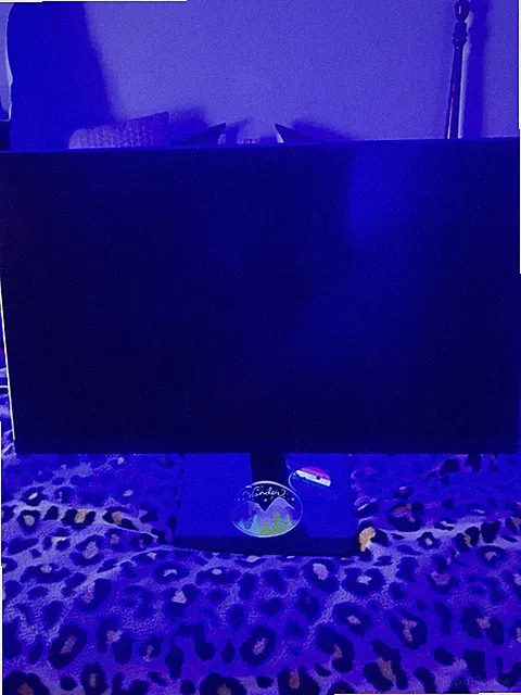 24’ Full Hd Gaming Monitor