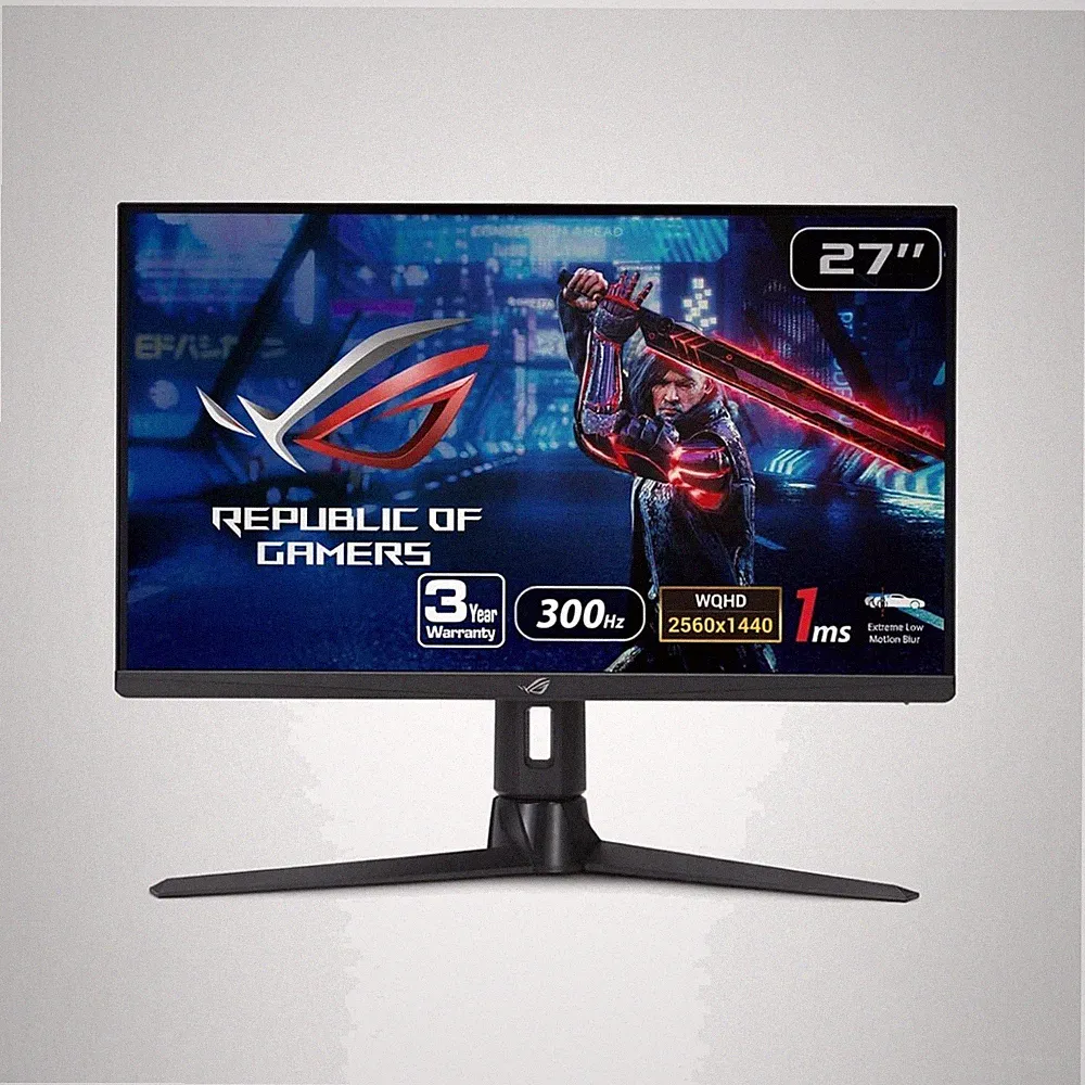 27” Fast IPS Gaming Monitor - 1440P, 300Hz Refresh Rate, ULTRA Smooth Gameplay