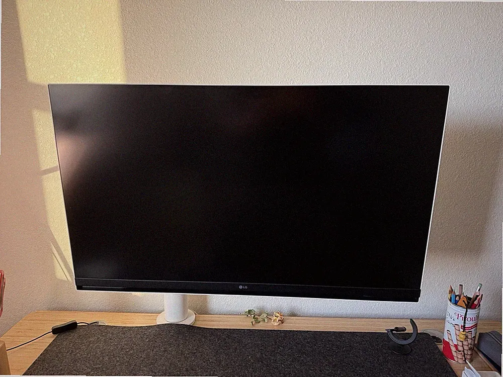 32 Inch 4K UHD Smart Monitor with webOS and Ergo Stand