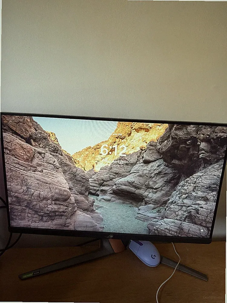 360hz ASUS ROG Swift PG259QN 24.5" FHD IPS LED Gaming Monitor