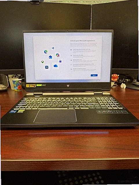 Acer Predator Helios 300 15.6" FHD 165Hz Gaming Laptop