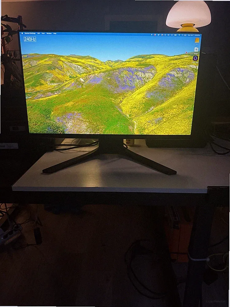 Alienware 24.5” IPS LED Monitor 240hz (AW2521HF)