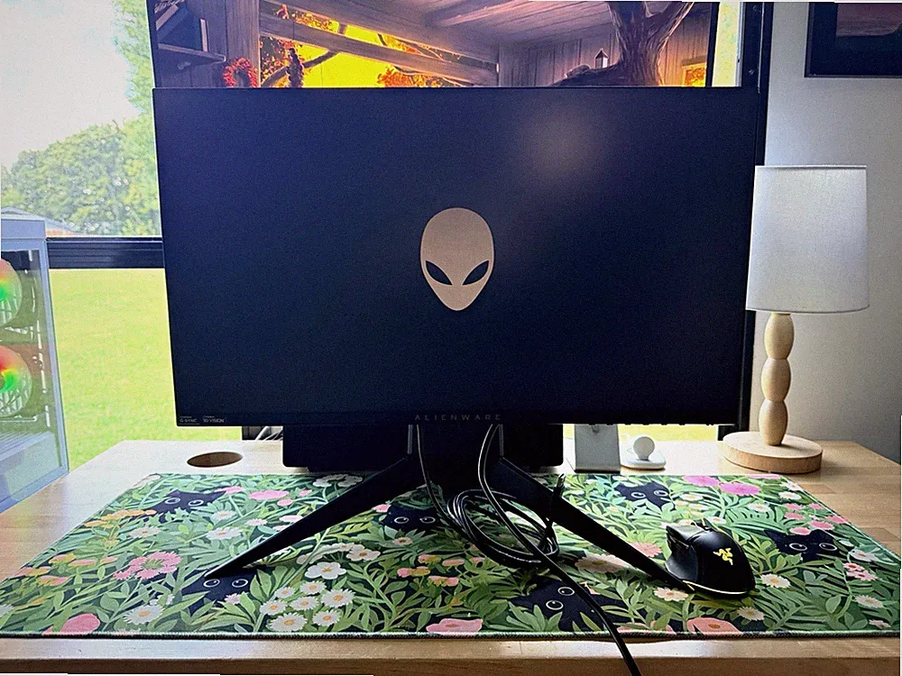 Alienware AW2518H 25in 240Hz 1080p 1ms Gaming Monitor HDMI/DP USB Hub