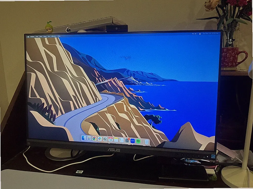 ASUS 27" Gaming Monitor with Built-In Camera, great condition, free S&H