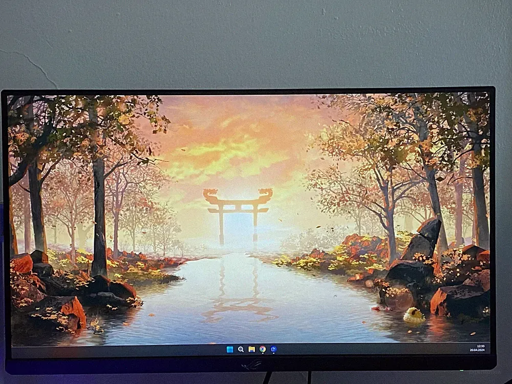 ASUS Rog Swift PG259QNR 360Hz 24.5 inch FHD IPS LED Gaming Monitor