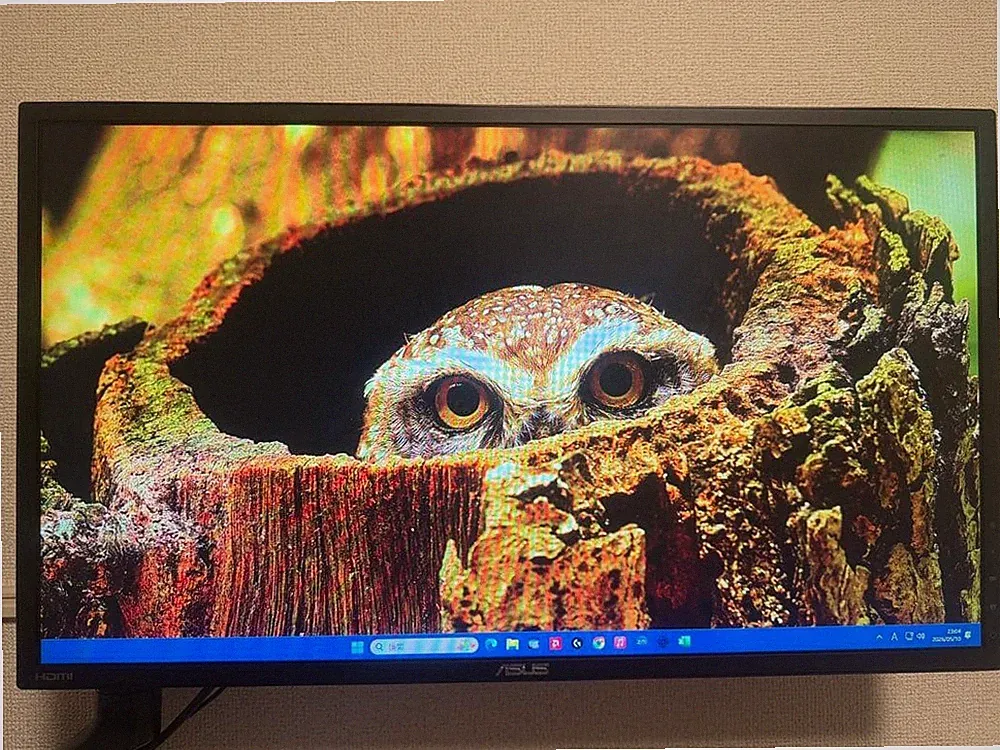 ASUS VG245HE-DP 24.5 inch Full HD 75Hz 0.6ms Dual HDMI Gaming Tested