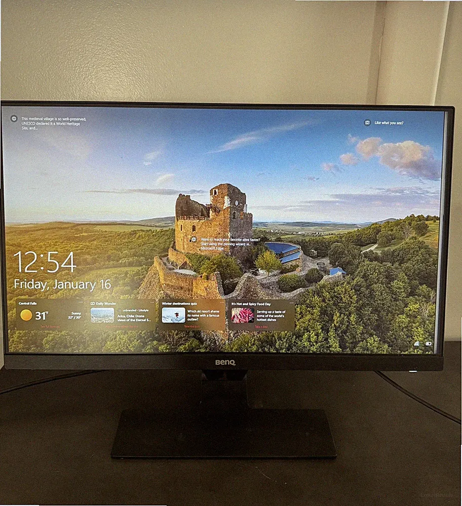 BenQ 24-inch 1080p 60Hz Gaming Monitor