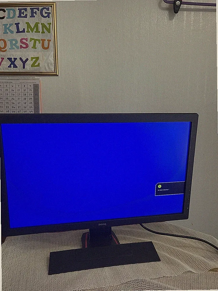 BenQ GL2450-B 24 inch Wide Gaming Monitor