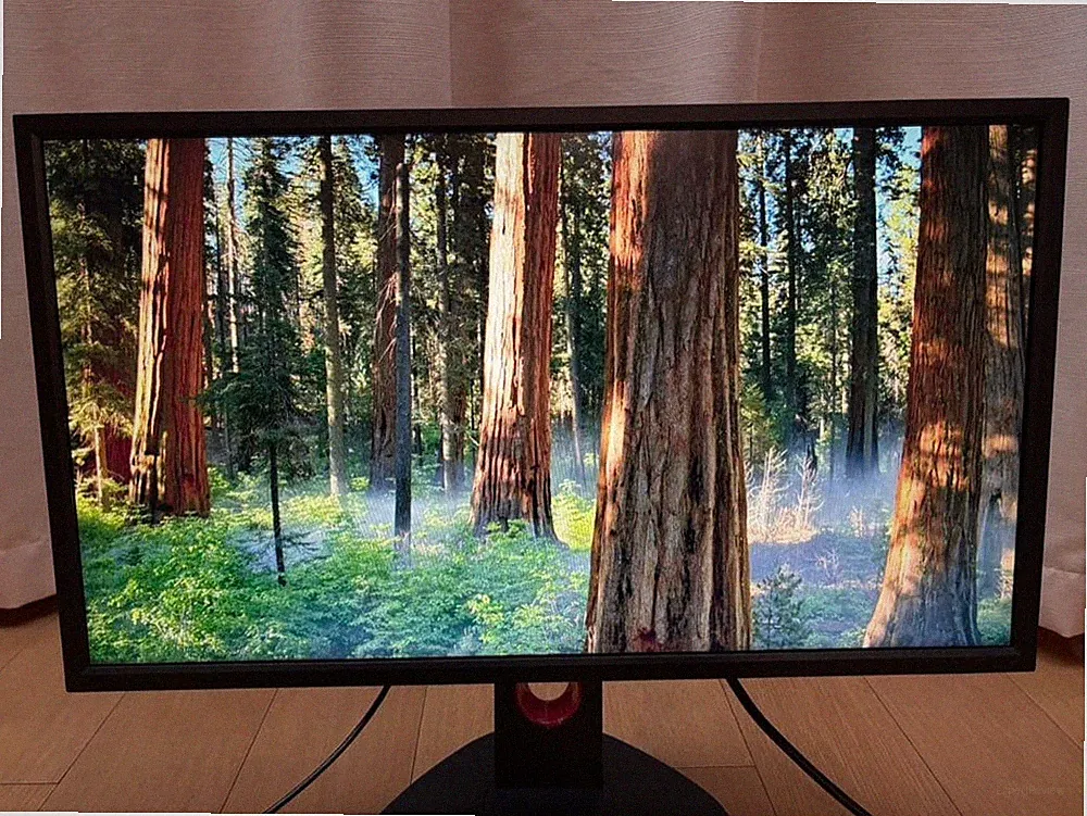BenQ ZOWIE 27 Inch Gaming Monitor 165Hz XL2731K Tested