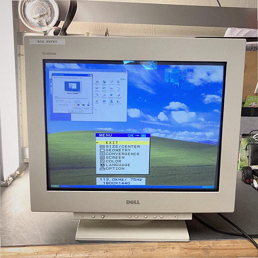 Dell 21" P1110 2048x1536 UltraScan Retro Gaming Sony Trinitron VGA CRT Monitor