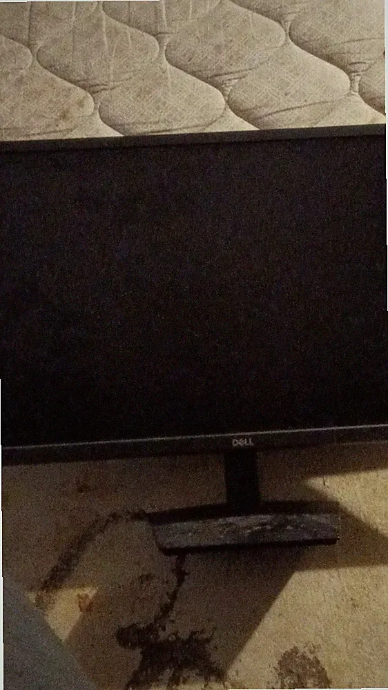 Dell LED Monitor with Stand – Good for School, Work, or Gaming