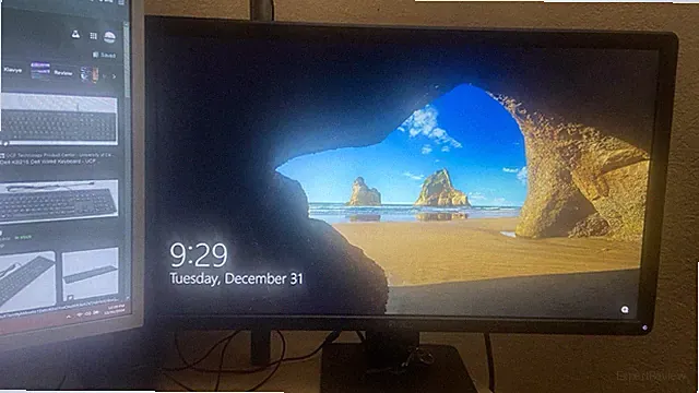 Dell Monitor - Works Great Okay condition (Check Description)