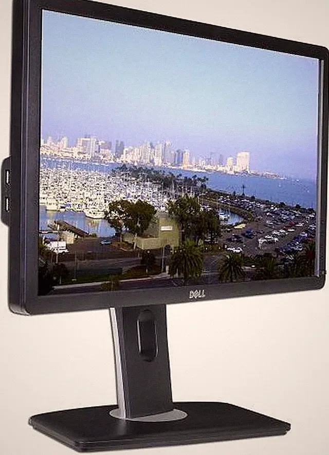Dell P2212Hb P2212Hf 21.5'' 1080p LED-Backlit TN LCD Widescreen Monitor SPEAKER