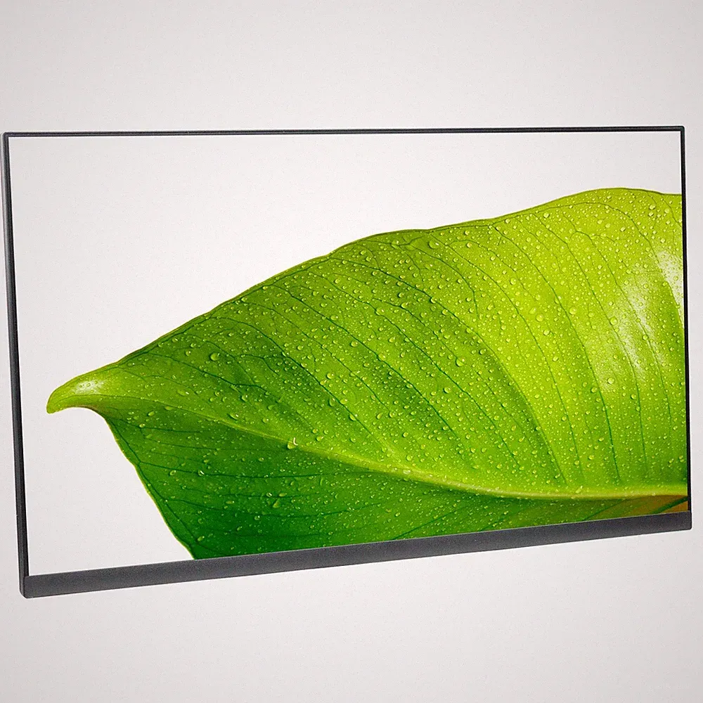 Dell P2422HE 24" Widescreen 1920x1080 USB-C LED IPS LCD Monitor ONLY - Grade B