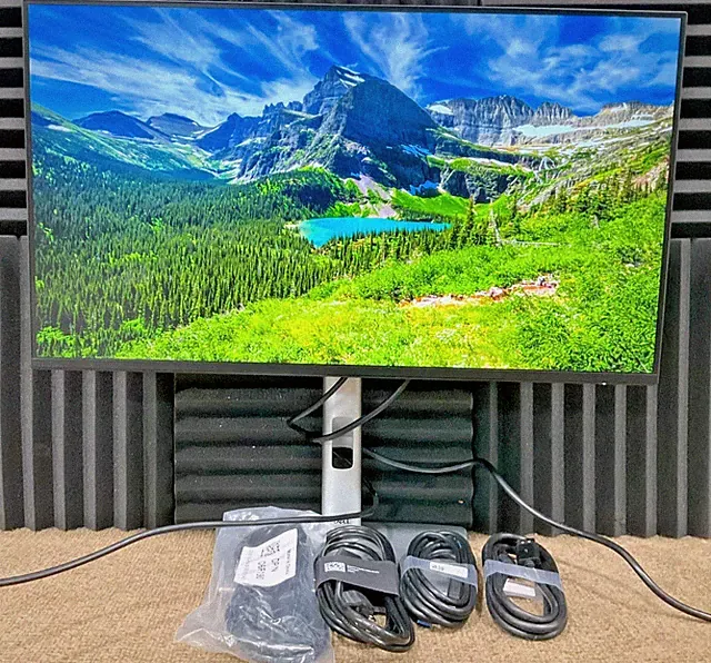 Dell P2425H 24" LCD Monitor 1080p DELL-P2425H ✅❤️️✅❤️️
