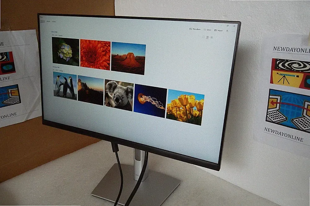 Dell P2425H 24" Widescreen IPS LED Monitor 1080p HD HDMI DP VGA 16:9 USB C Hub