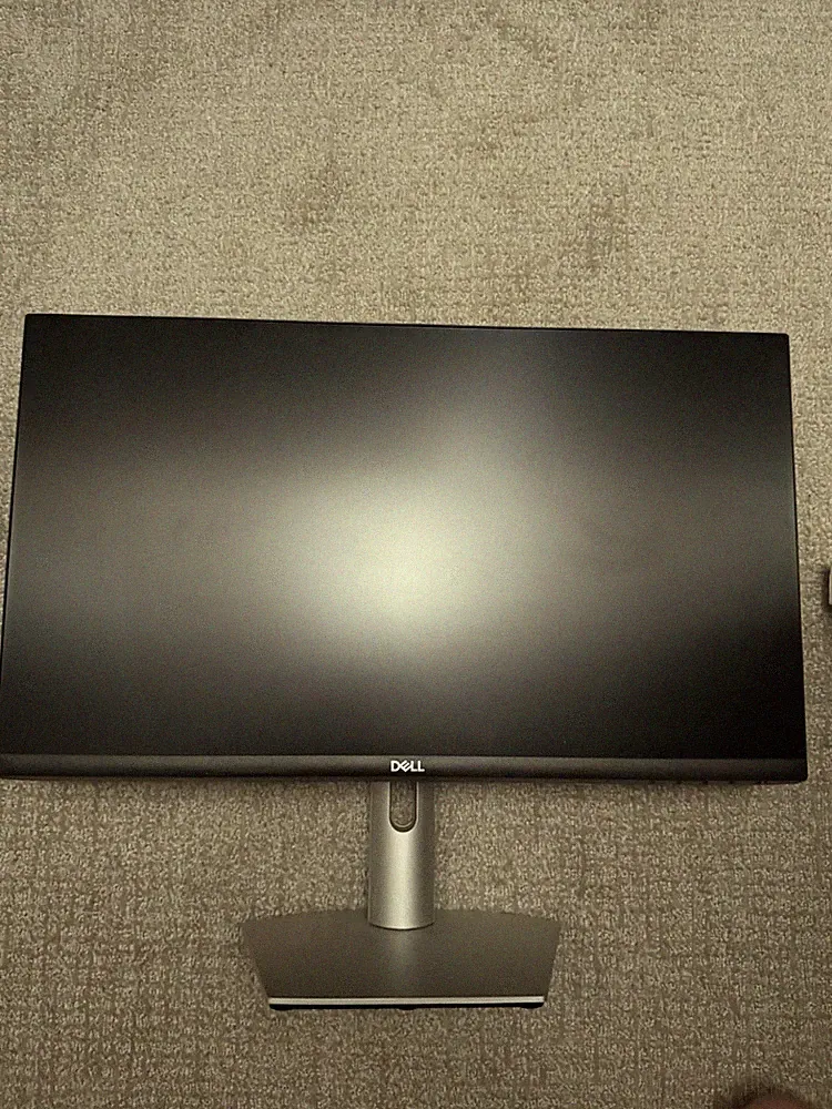 Dell S2421HS Portable Silver 24-inch Flat Panel Monitor