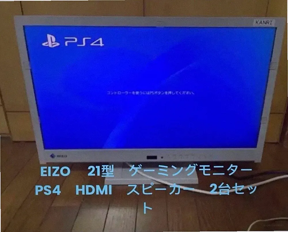Eizo 25 Inch