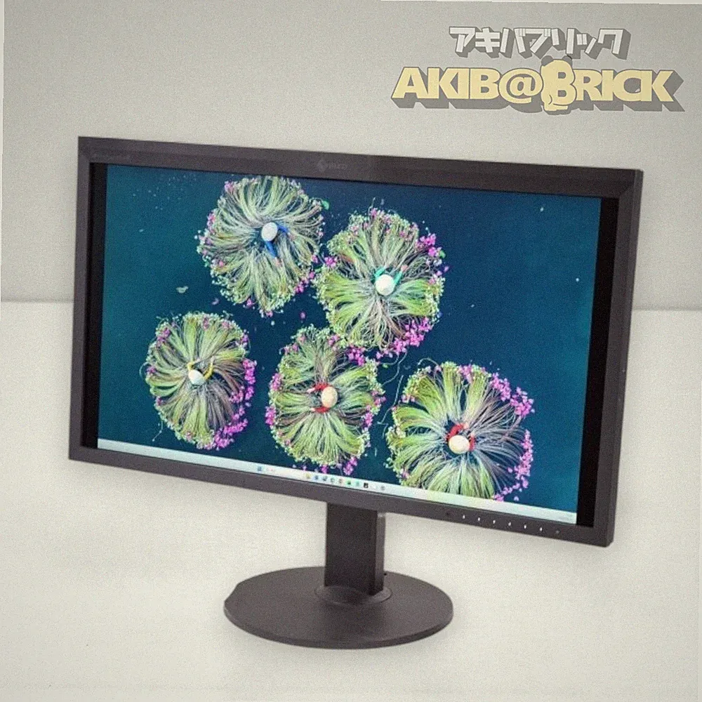 EIZO CG319X 31.1 inch 4K ColorEdge Color Management LCD Monitor 2018 Model