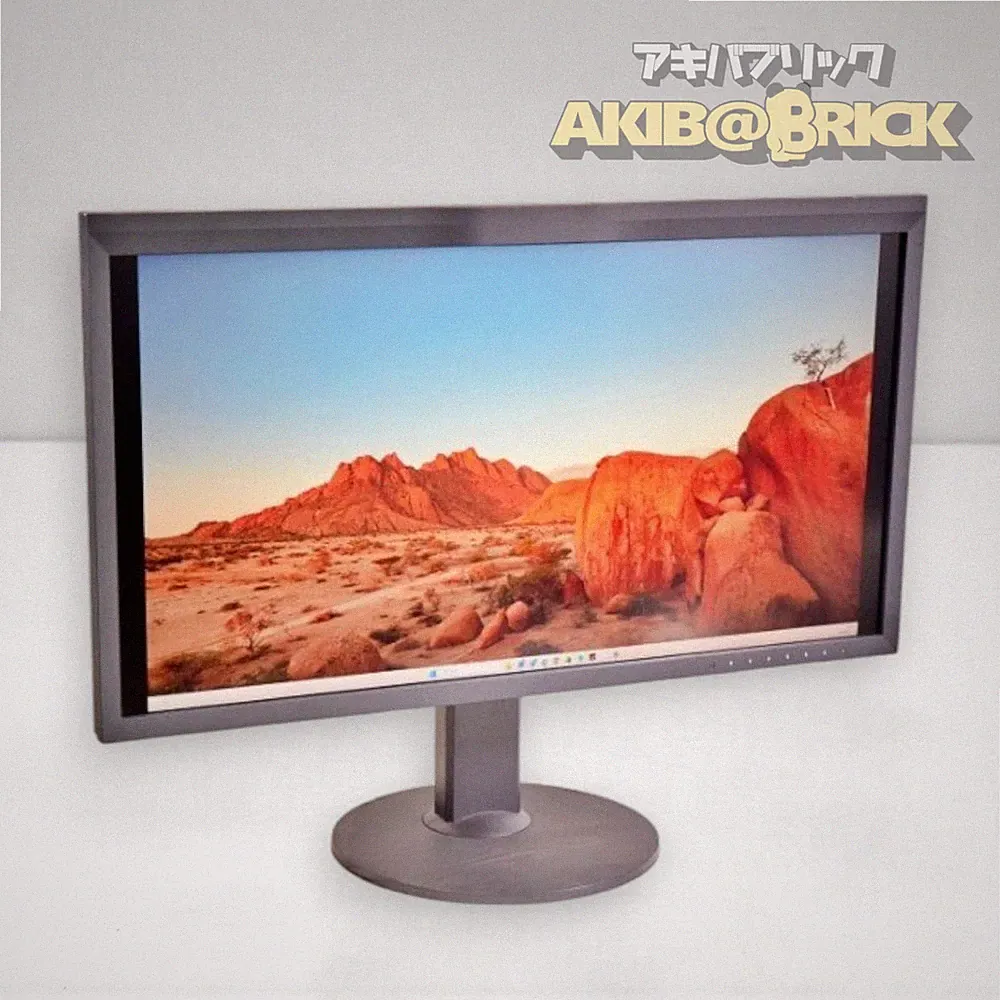 EIZO CG319X 31.1 inch 4K ColorEdge Color Management LCD Monitor 2018 Model Japan