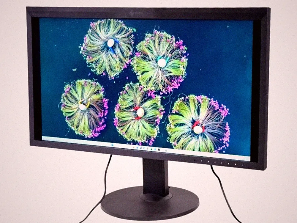 EIZO ColorEdge CG319X 31.1 Inch 4K Color Management Monitor Tested