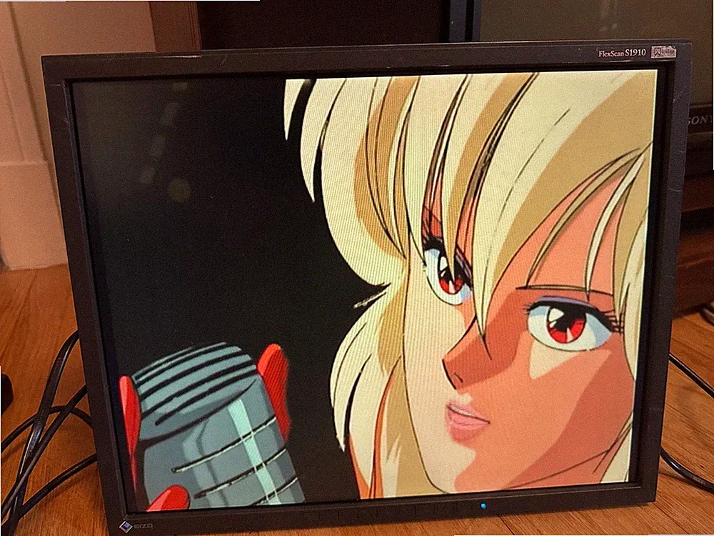 Eizo FlexScan S1910 Monitor 19 Inches Working