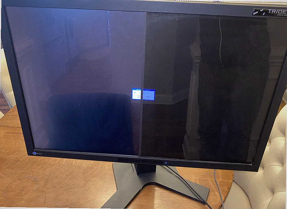 Eizo MX300W 29.7” Monitor Great Condition