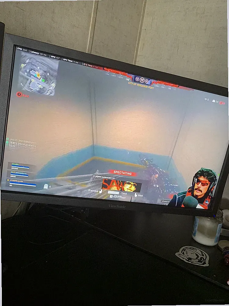 Gaming/Editing Monitor.