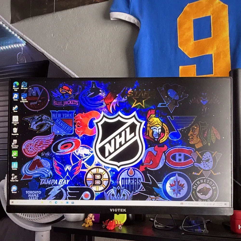 Gaming Monitor