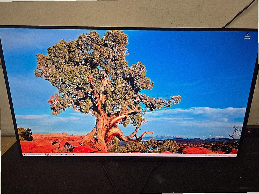 Panel Mount OLED