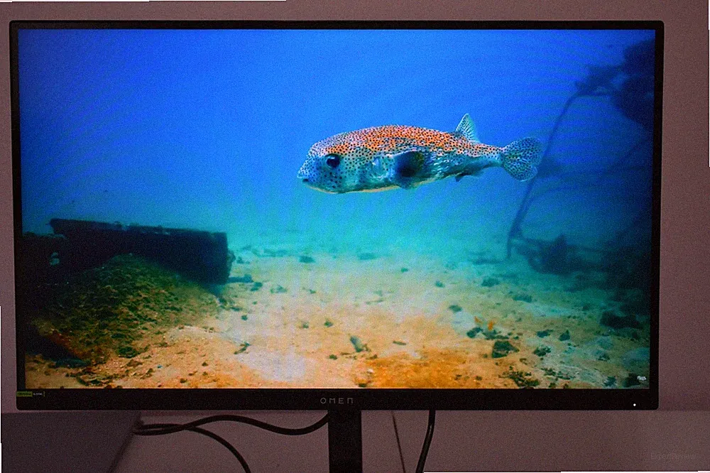 HP 240Hz 1440p