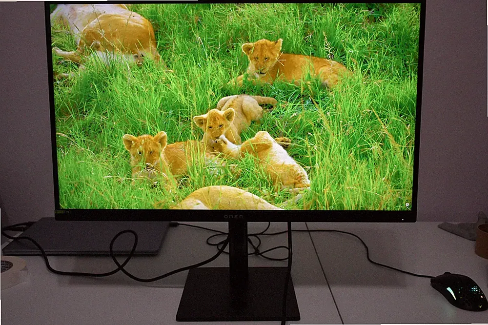 HP OMEN 27qs 27" Gaming Monitor QHD 240Hz 1440p IPS FreeSync Tested