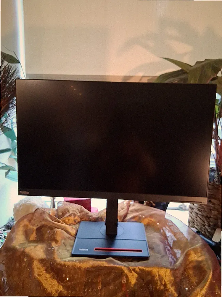 Lenovo ThinkVision P27h-28 27-Inch WQHD WLED LCD Computer Monitor Raven Black