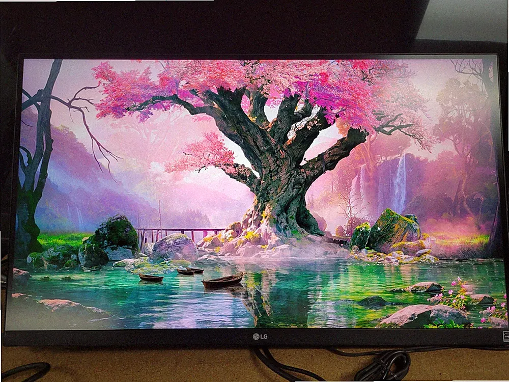 LG 27” 4K UHD Monitor 27BN85UN-B HDMI DP | M912
