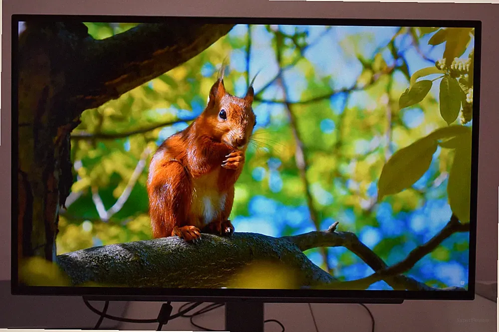 LG 27GR95QE-B 27" OLED QHD Gaming Monitor 240Hz 0.03ms G-SYNC Compatible
