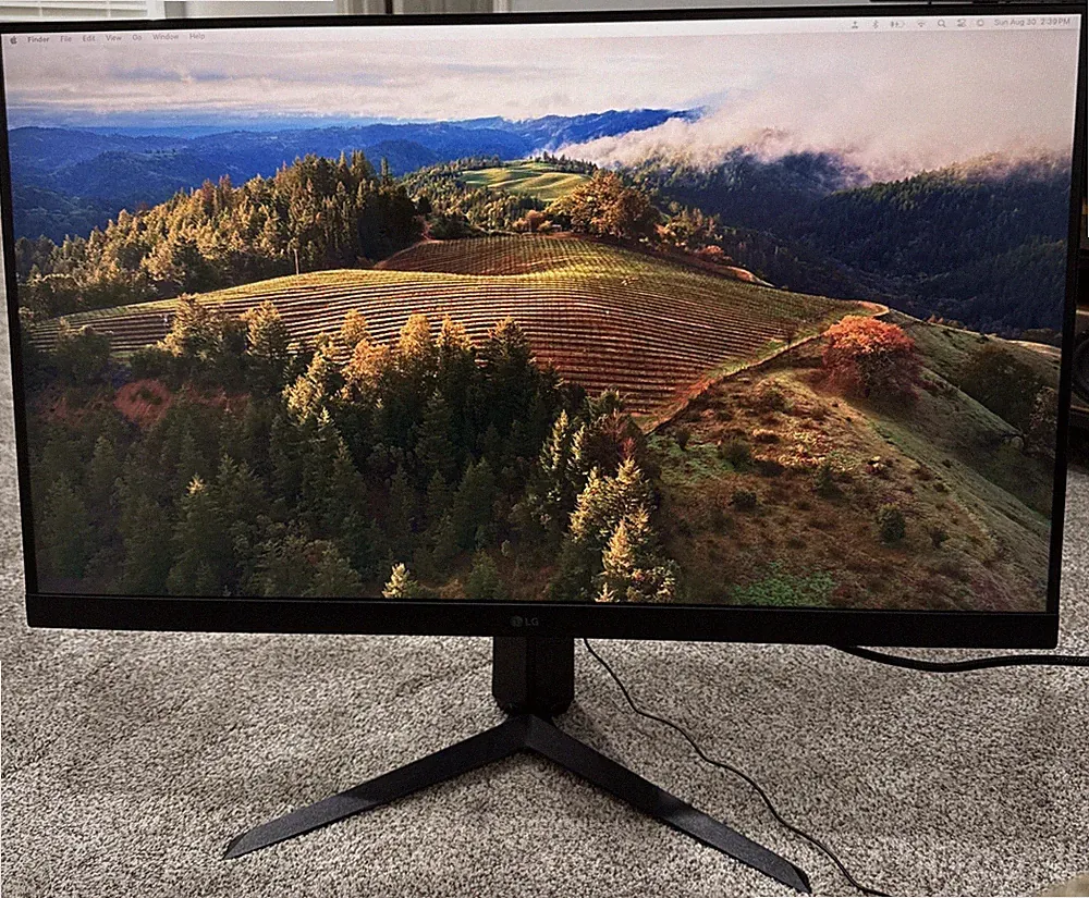 LG 32 Inch UltraGear FHD 165Hz HDR10 Monitor w/ G-SYNC Compatibility 32GN550 UD