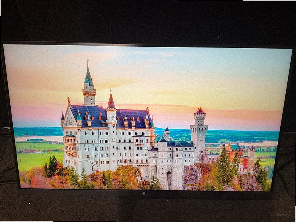 LG 32" LED LCD Monitor 4K 32UN550-W ✨🔥 READ!!!