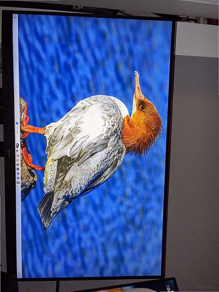 LG 32 UltraGear QHD Gaming Monitor 1440p, 165Hz