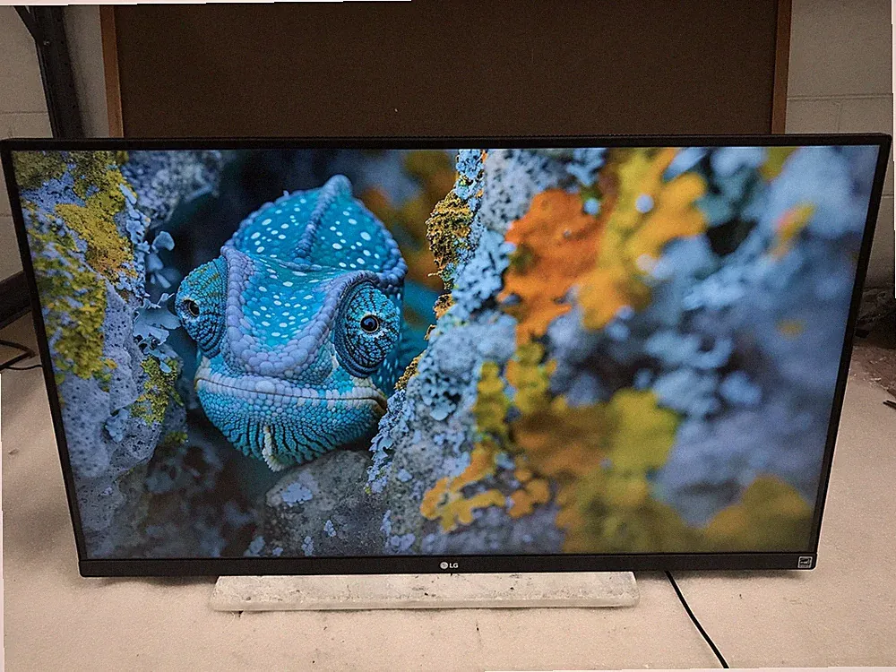 LG 32BN50U-B 32" 4K UHD VA Monitor HDR10 FreeSync - Complete in Original Box