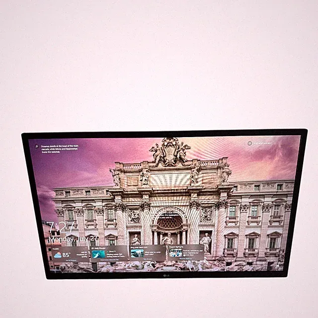 LG 32ML600M 32 in LCD Monitor 1920 x 1080 (Full HD) No Stand Grade C