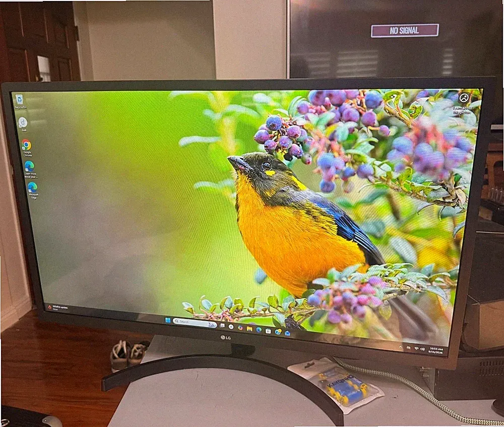 LG 32MN60T-B 32" FHD IPS Computer Monitor 1920x1080 75Hz AMD FreeSync HDMI Black