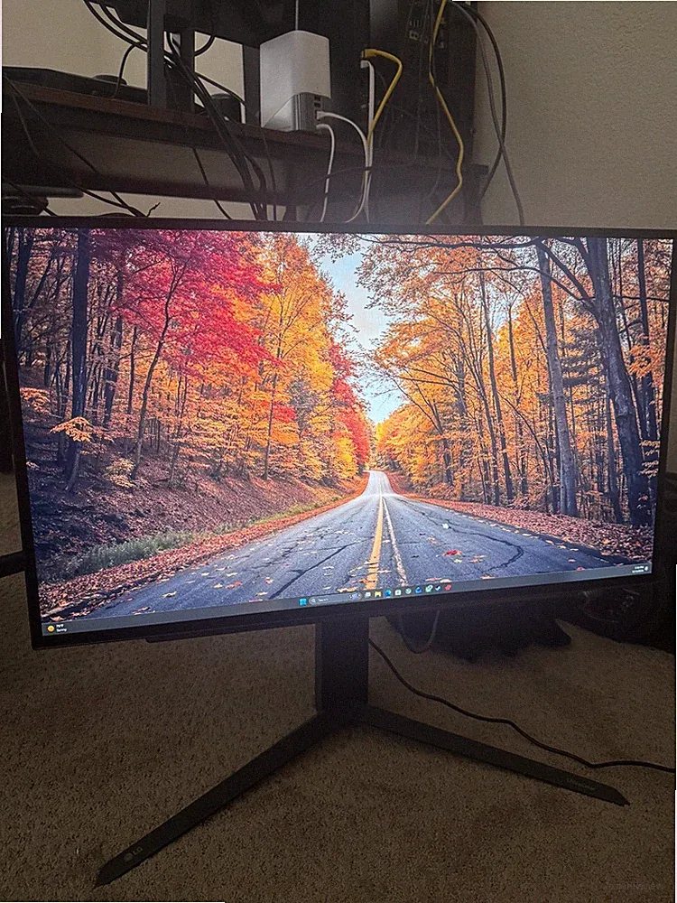 LG UltraGear 27gs95qe-b 1440p 240hz Gaming monitor