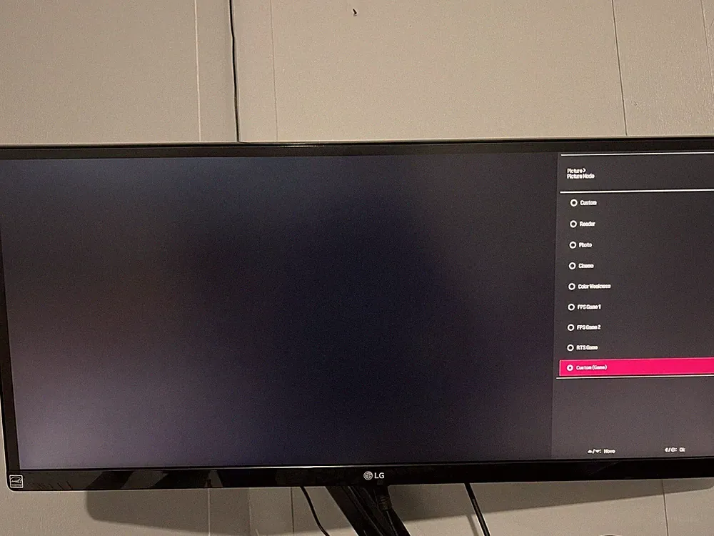 lg ultrawide monitor 29