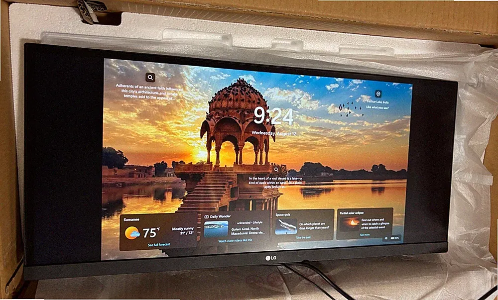 LG UltraWide Widescreen Full HD IPS LED Monitor - 29WK50S (#453) DEAD PIXELS