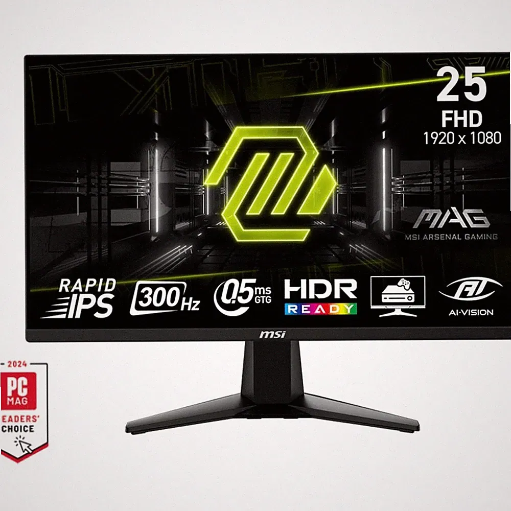 MSI 24.5" MAG 255XF FHD 300Hz 0.5ms GtG Rapid IPS Gaming Monitor - MAG255XF