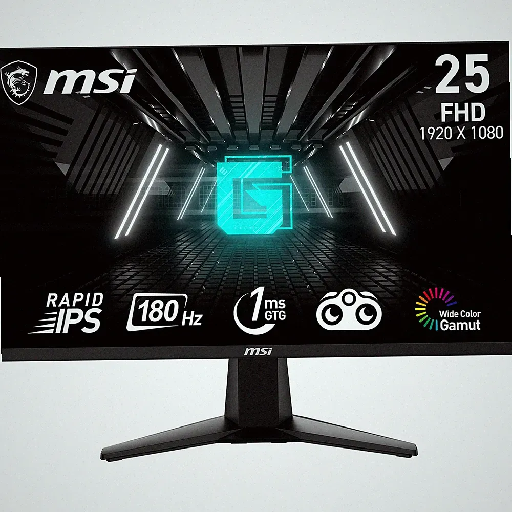 msi G255F 25-inch 1920 x 1080 (FHD) Computer Monitor, 180Hz, Metallic Black