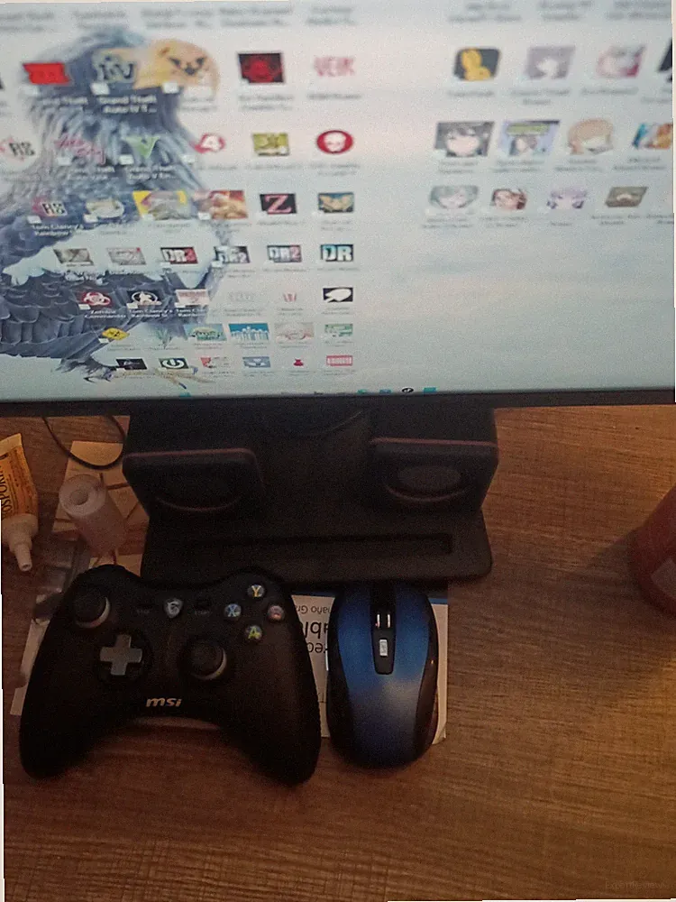 MSI Gaming Monitor with Speakers